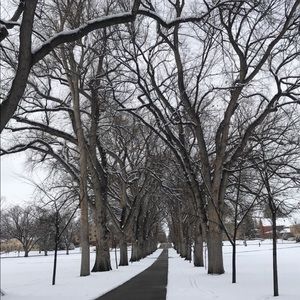 Meet your Posher, Ellie